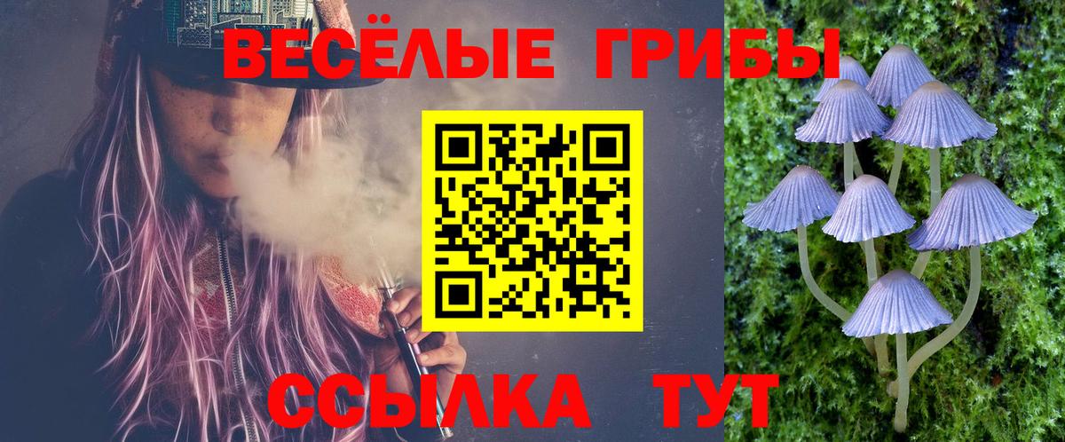 Зима  Псилоцибиновые грибы мухоморы  Вход с VPN 